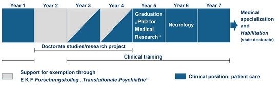 Graphical summary of the Research College <span>“</span>Translational Psychiatry" training program.