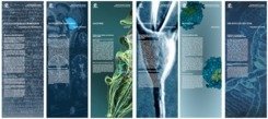 <span>The exhibition shows scientific findings and our history</span>