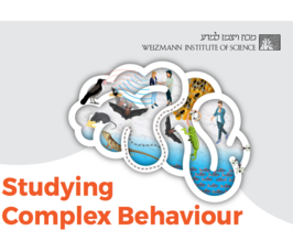 Studying Complex Behavior