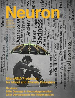 Cover of Neuron, 2014 Volume 83, Issue 2: Maintaining proper level of centrally expressed microRNA molecules is essential for intact emotional response to challenge. The image depicts an “umbrella of microRNAs” protecting the individual from “rain” of life stressors and challenges associated with bad feelings and psychopathologies such as depression and anxiety. Issler et al. (pages 344–360) describe the microRNA fingerprint of serotonergic neurons and demonstrate the important of microRNA-135 for proper serotonergic activity, behavioral stress resiliency, and antidepressant efficacy. Image illustrated by Genia Brodsky.