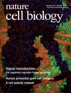 Cover feature of the review artile discussing how the deregulation of normal cell biological processes leads to malignant transformation and cancer progression: Wehr et al. NCB 2013 Volume 15 No 1