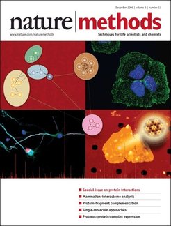 Protein-protein interactions as illustrated by Erin Boyle on the cover feature of Nature Methods 2006 Vol 3/12.