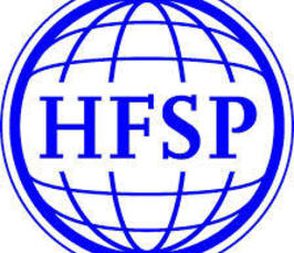 In support of daring research: the small and nimble HFSP suite of programs